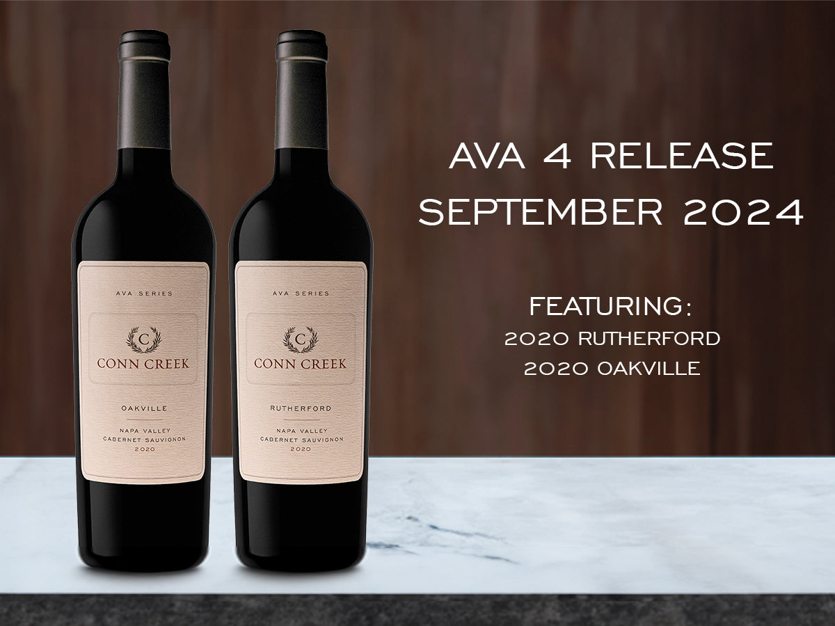 September 2024 Release - AVA 4