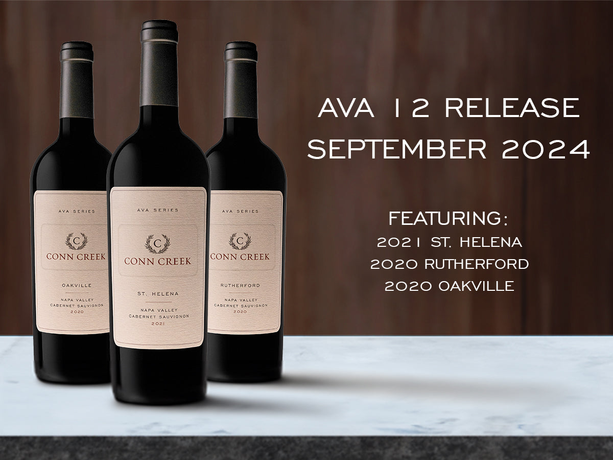 September 2024 Release - AVA 12